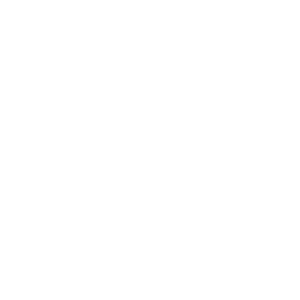 Icon of connex bus